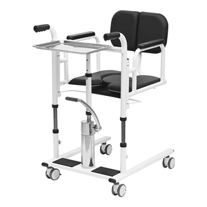 Multi-Functional Home Lift Assisted Transfer Lift