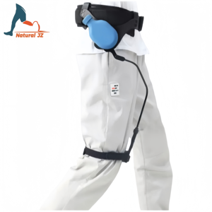 Exoskeleton Lower Limb Walking Aid