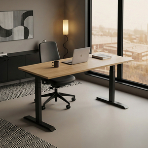 Electric Height Adjustable Standing Desk Lift